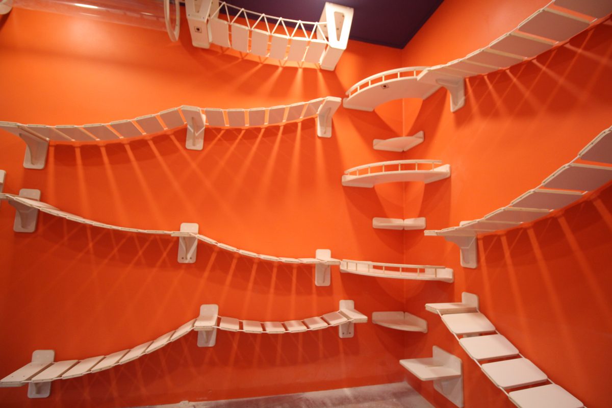 AK몰 서스펜션 브릿지