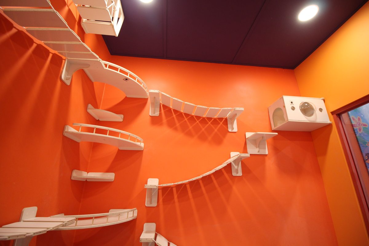 AK몰 캣워크 그물