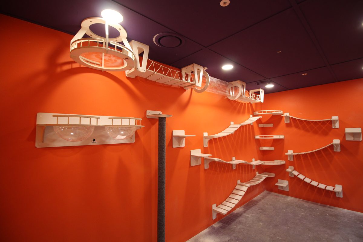 AK몰 실내동물원 캣워크 시설