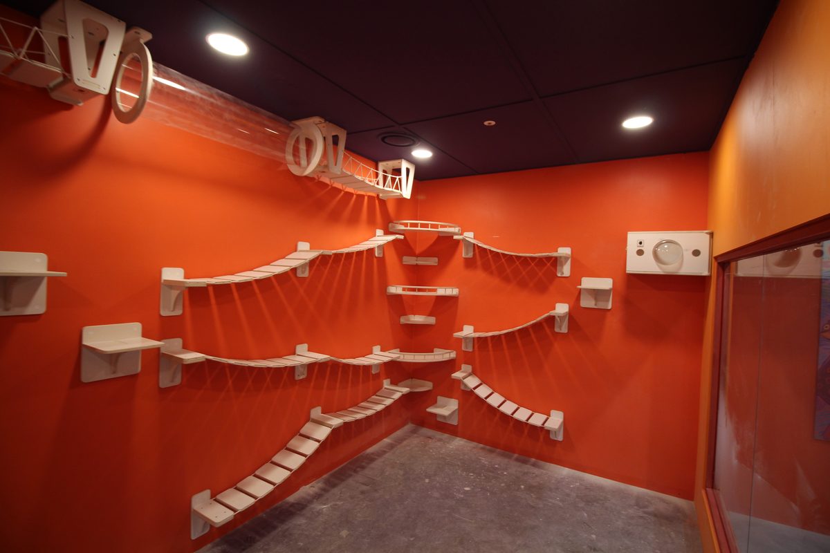 AK몰 캣워크 계단 브릿지