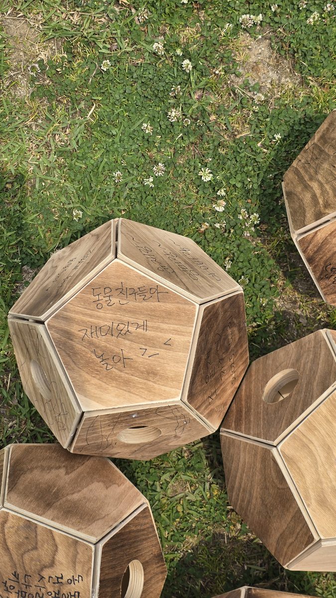 완성된 풍부화 볼