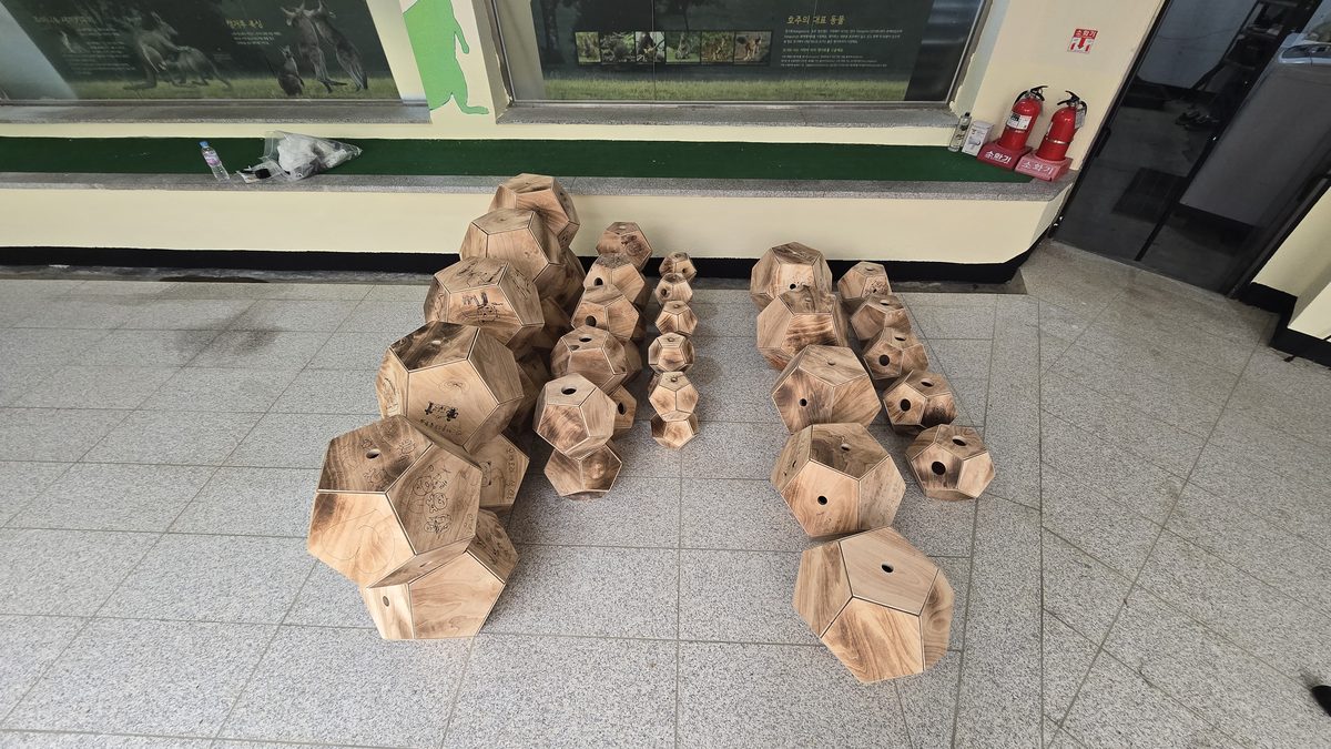 완성 풍부화 볼 모음