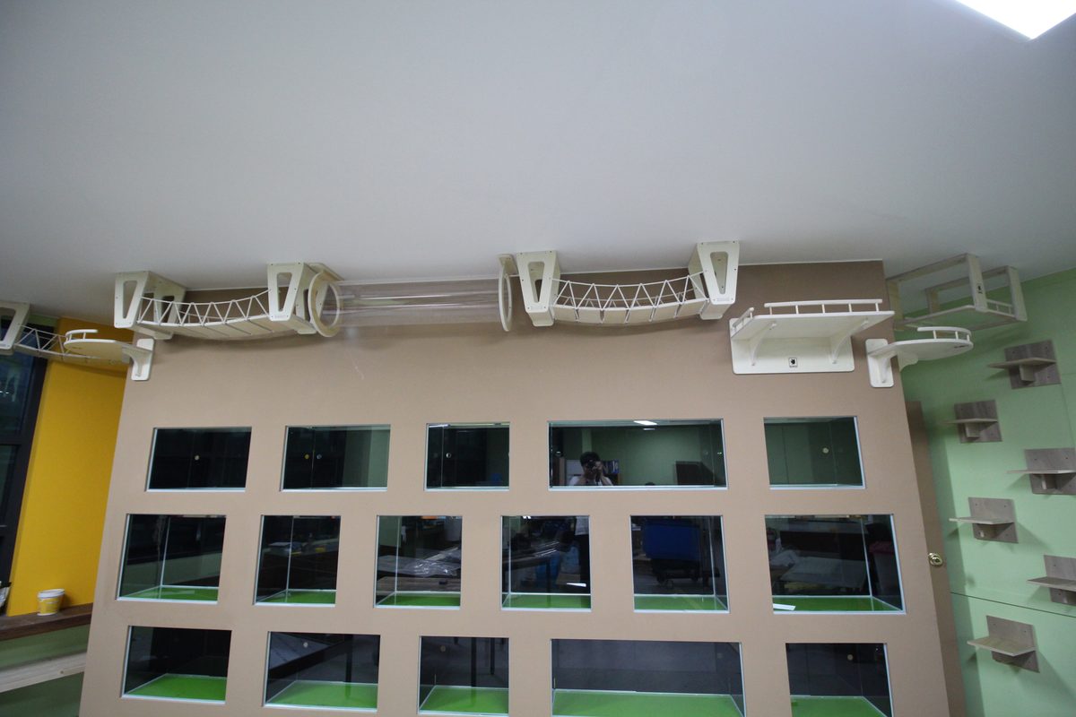 원주 천장 브릿지