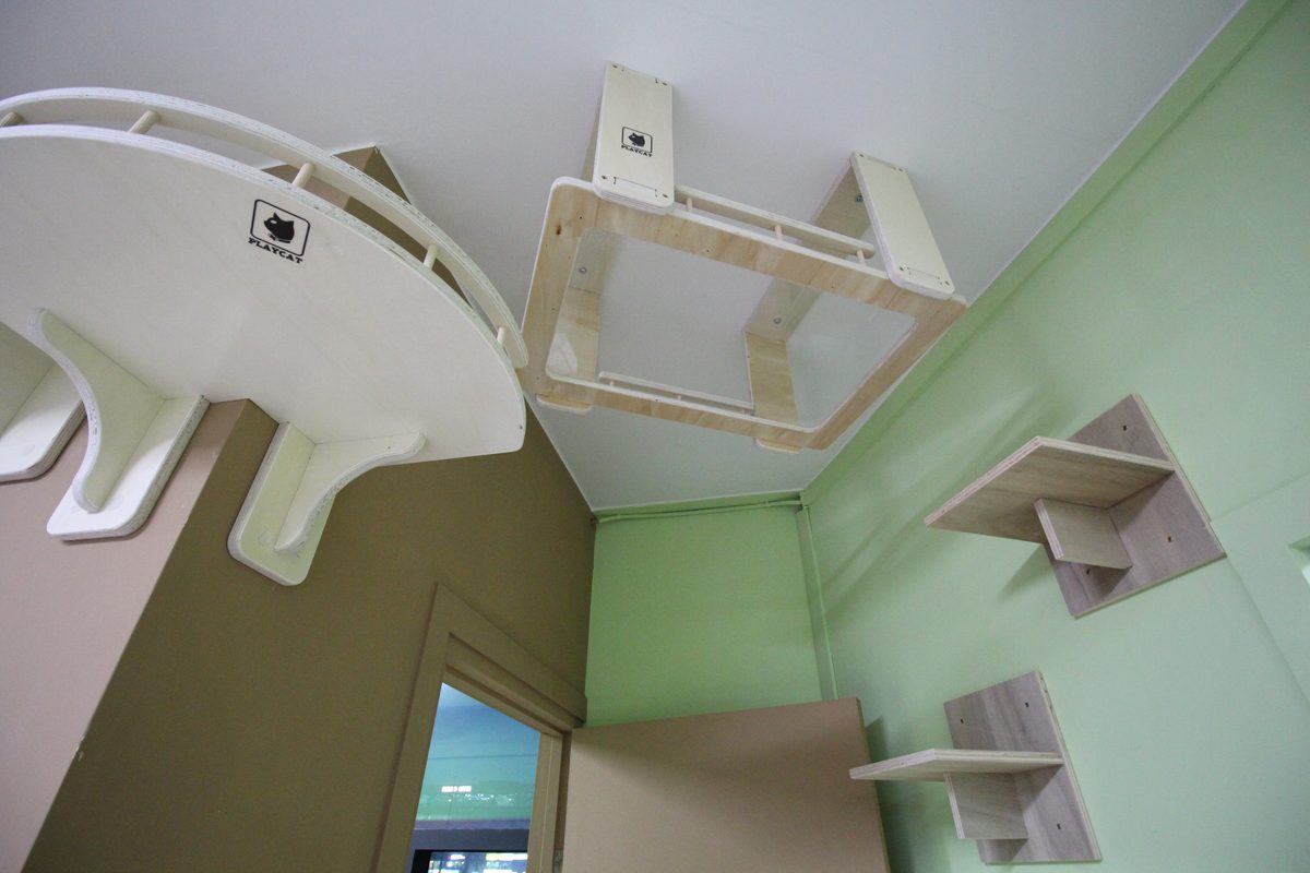 원주 천장 시설