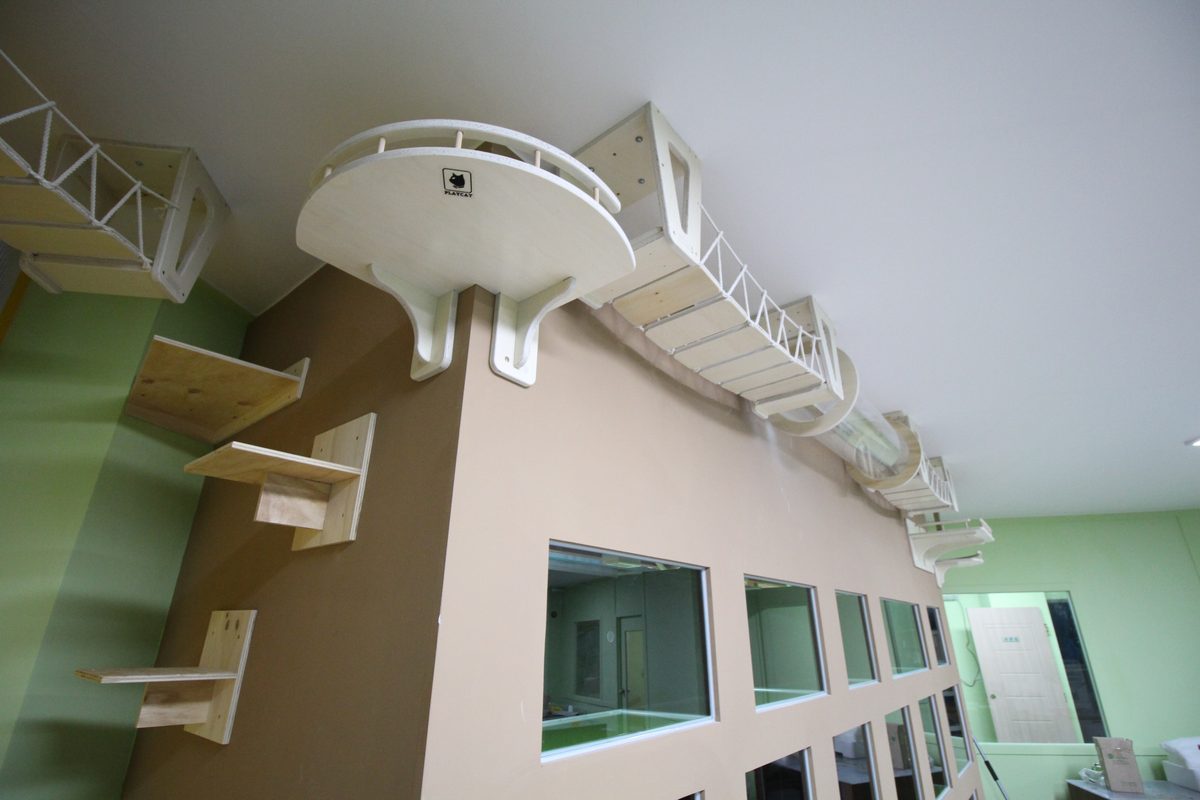 원주 PLAYCAT 로고 벽면