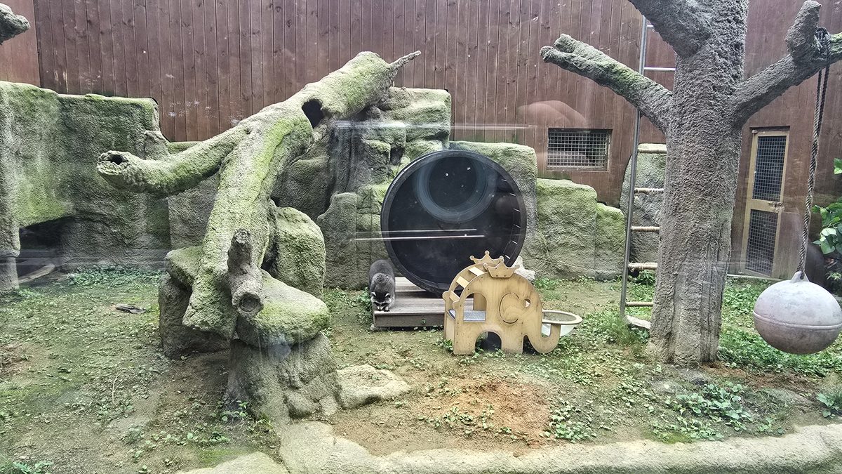 동물원 풍부화 시설