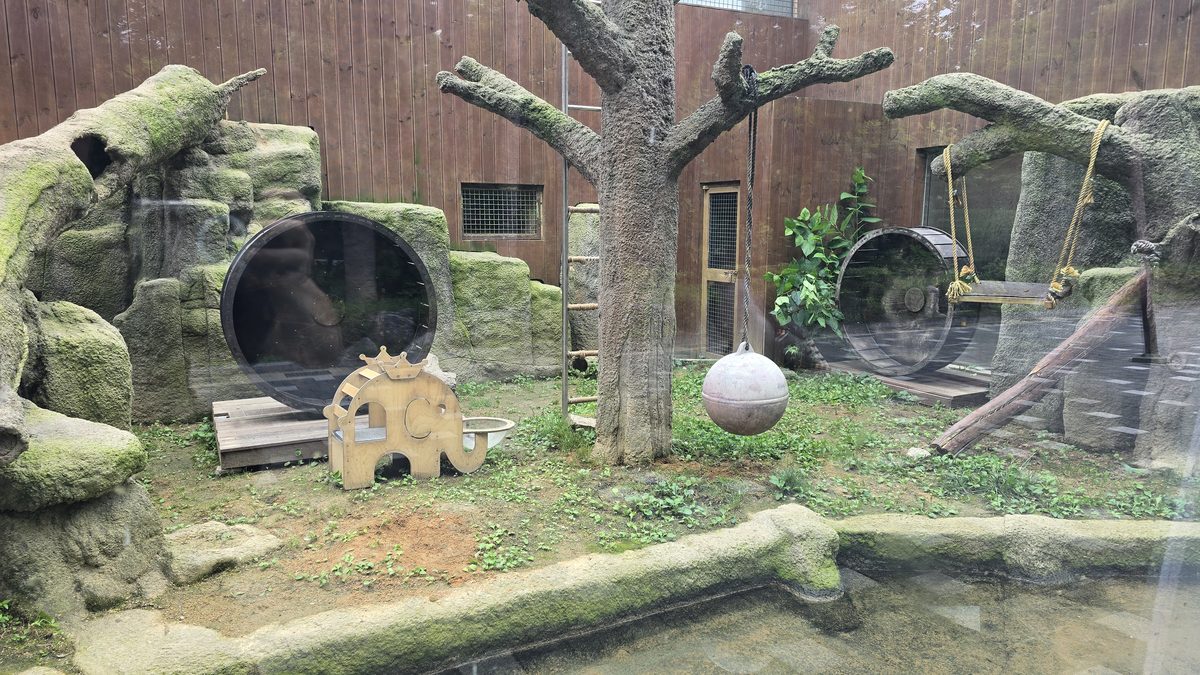 서울동물원 행동풍부화 시설