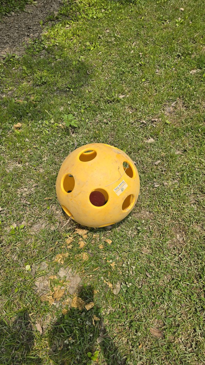 자동급이 & 모니터링