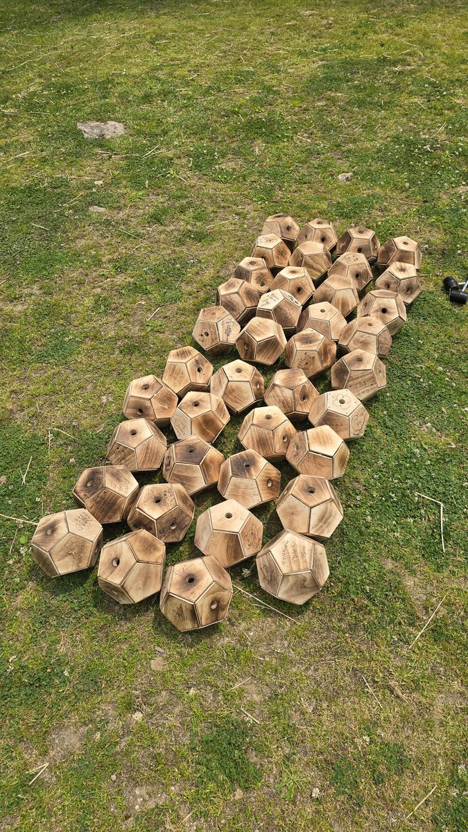 행동풍부화 장난감